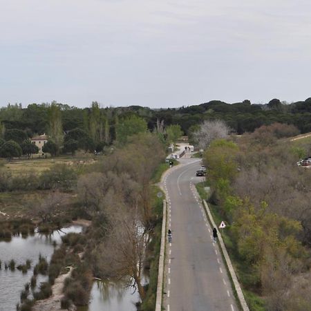 Vacances En Camargue Proche De La Mer Climatise 艾格-莫尔特 外观 照片