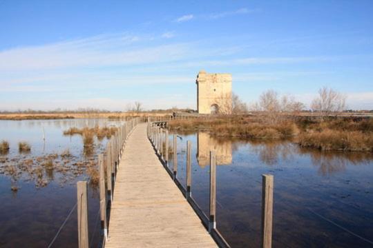 Vacances En Camargue Proche De La Mer Climatise 艾格-莫尔特 外观 照片
