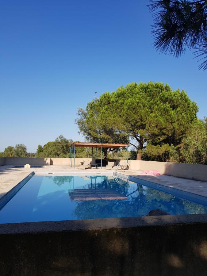 Vacances En Camargue Proche De La Mer Climatise 艾格-莫尔特 外观 照片