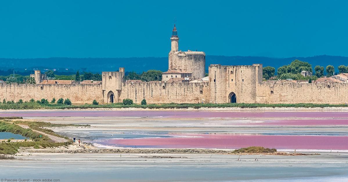 Vacances En Camargue Proche De La Mer Climatise 艾格-莫尔特 外观 照片