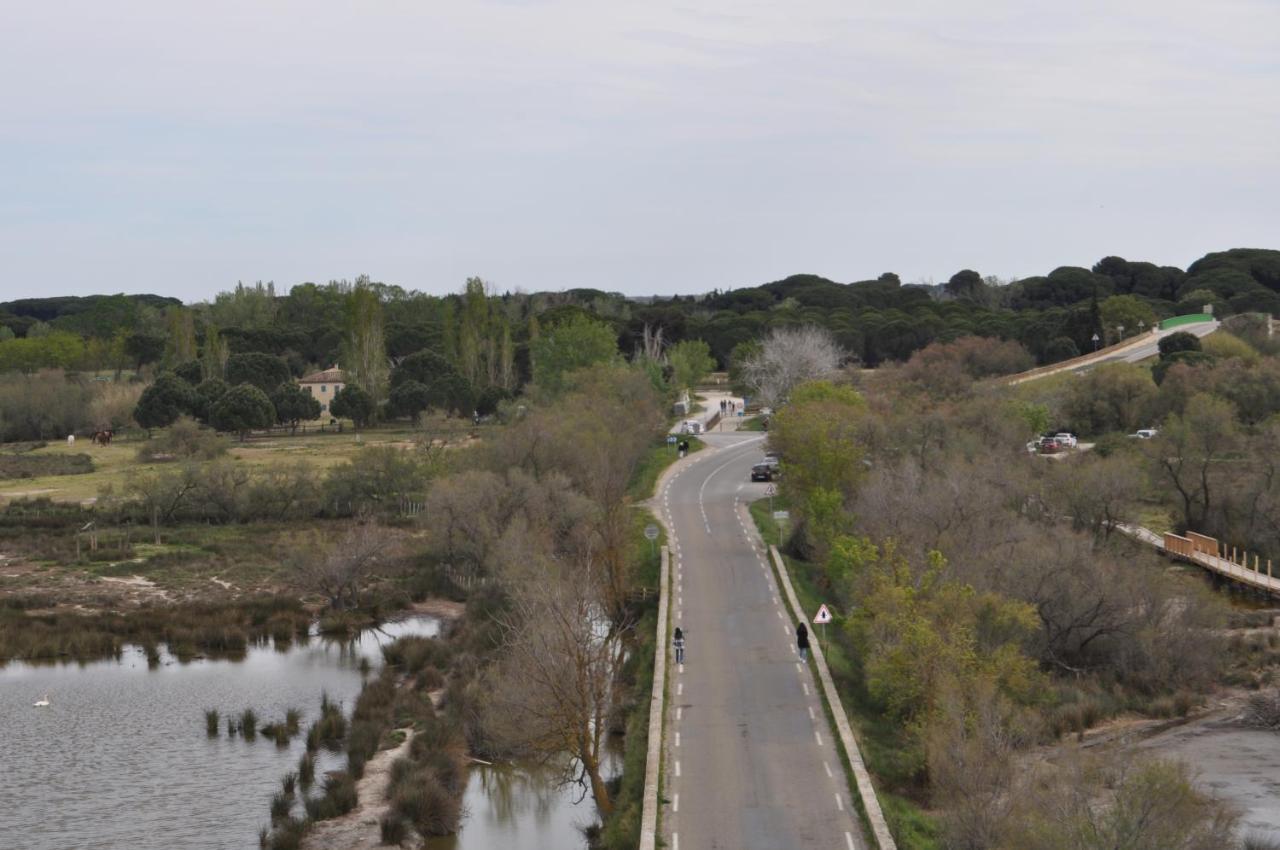 Vacances En Camargue Proche De La Mer Climatise 艾格-莫尔特 外观 照片